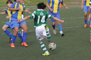 哈登赛事官方发布逆转新规，西班牙队争议不断！